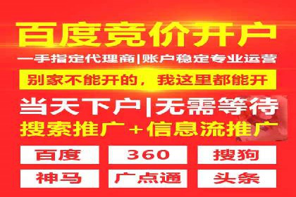 行业领先：竞价SEM托管案例剖析